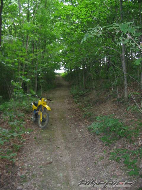 Photo 372054