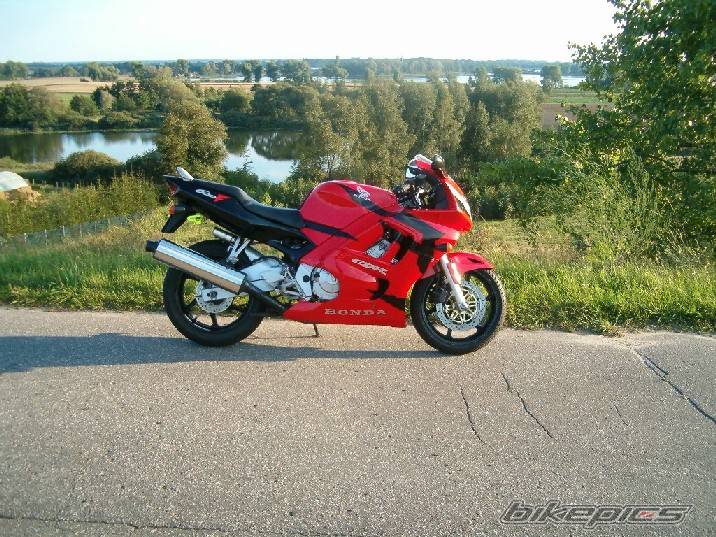 Photo 372932
