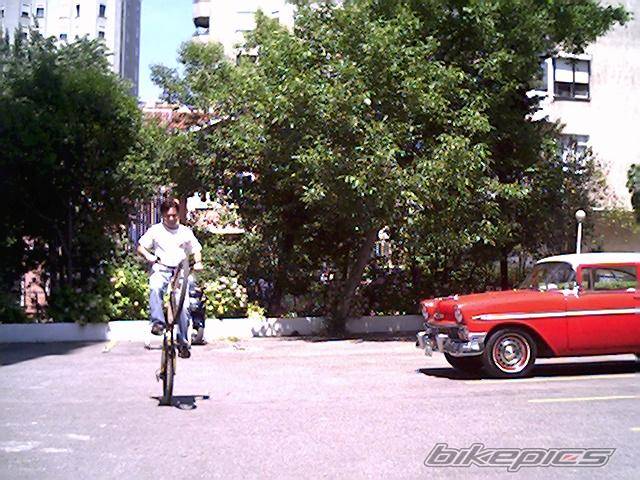 Photo 376274