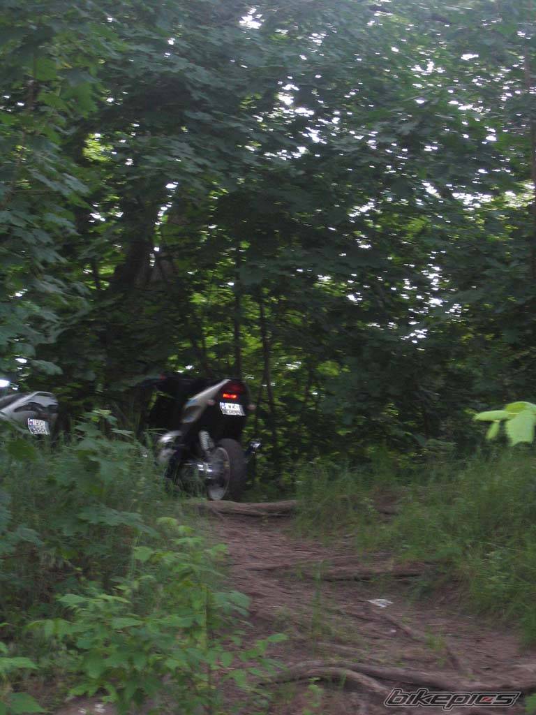Photo 377225