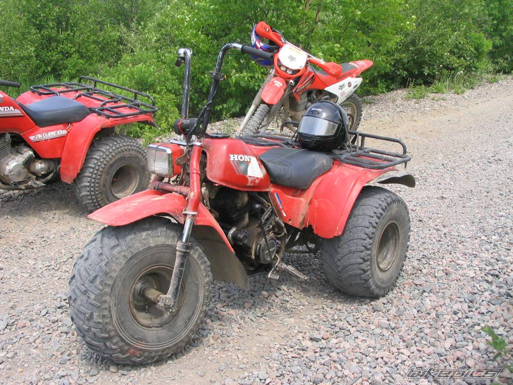 Bike Photo 379367