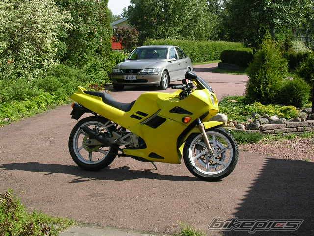 Photo 379642