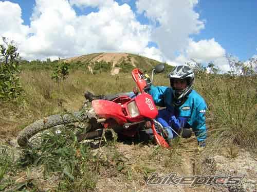 Bike Photo 379879