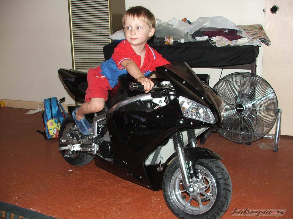 Photo 385052