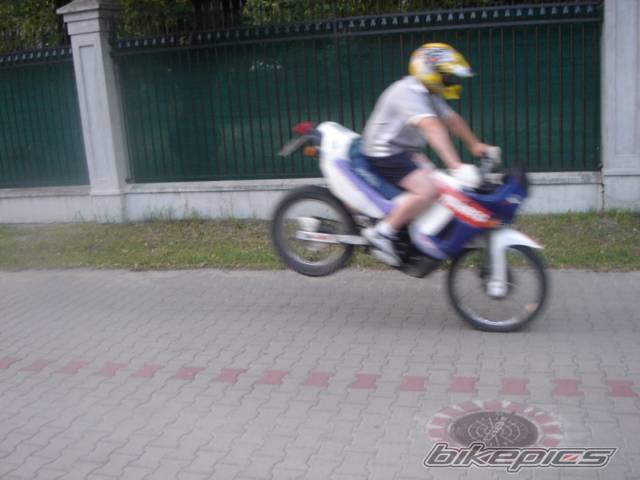 Photo 385545