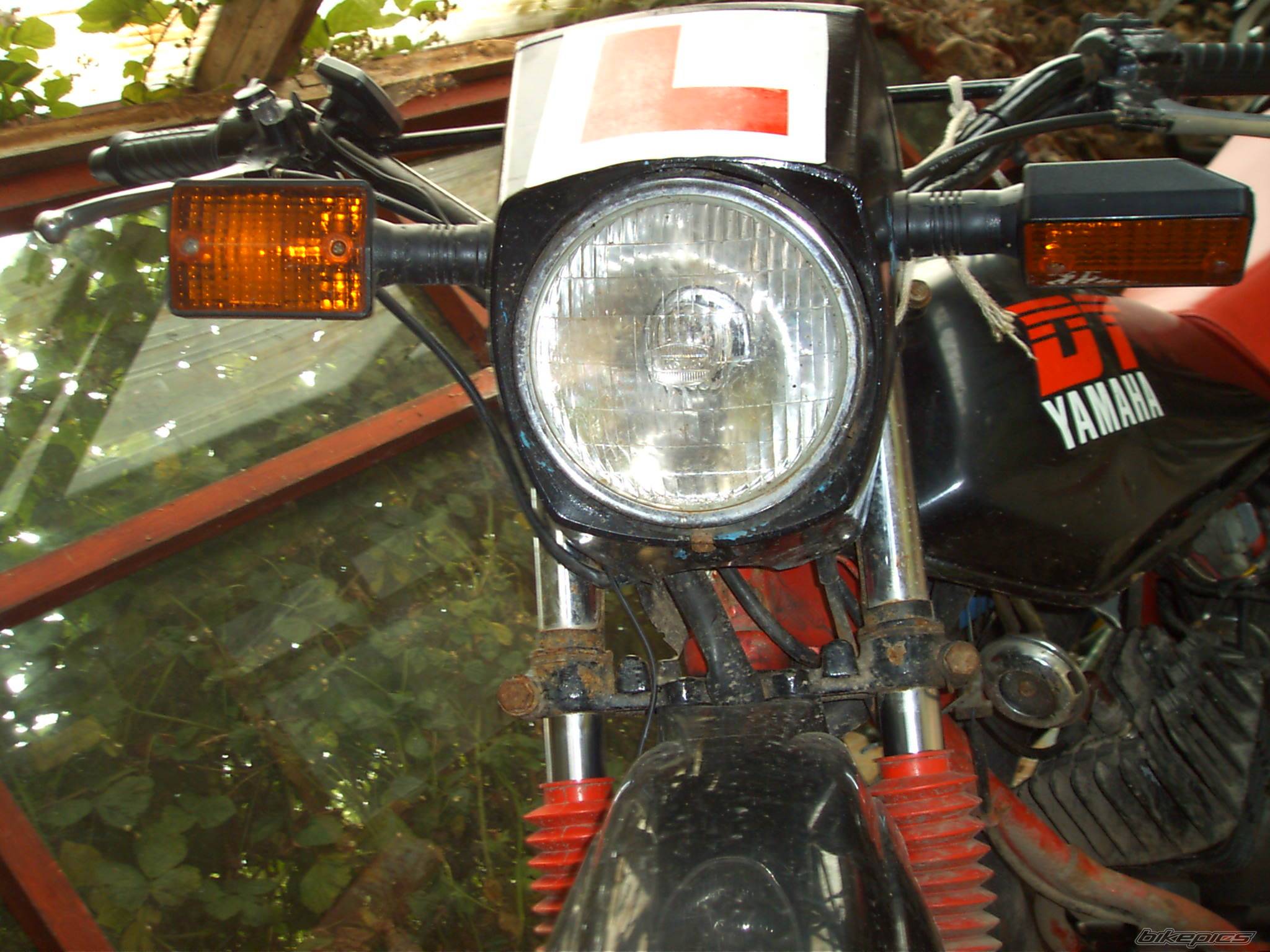 Bike Photo 387021