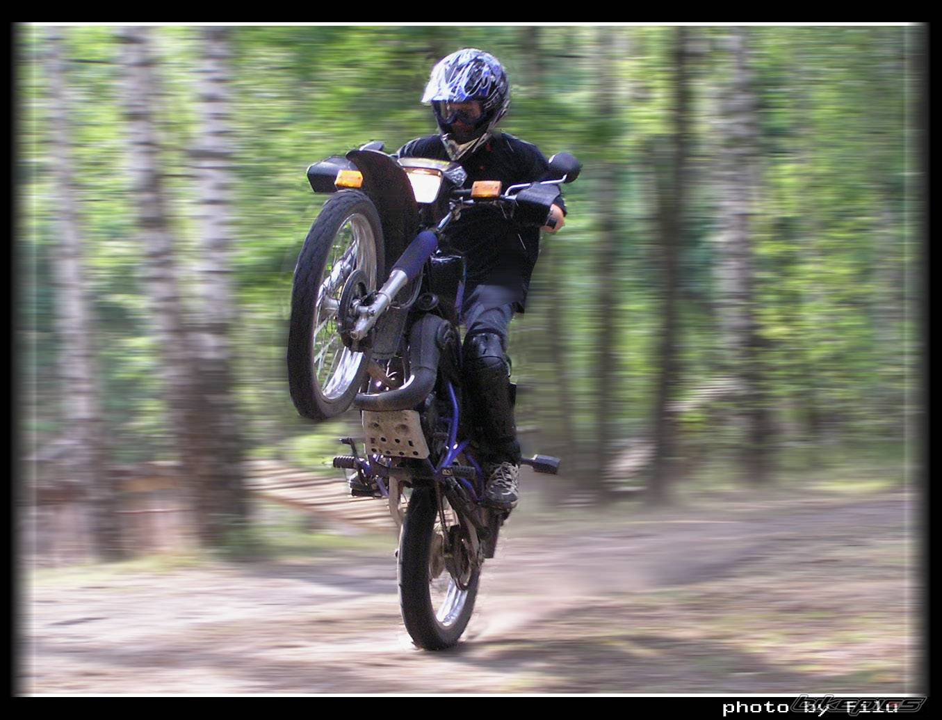 Bike Photo 388928