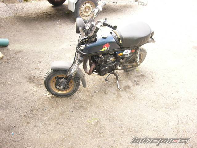 Photo 392301