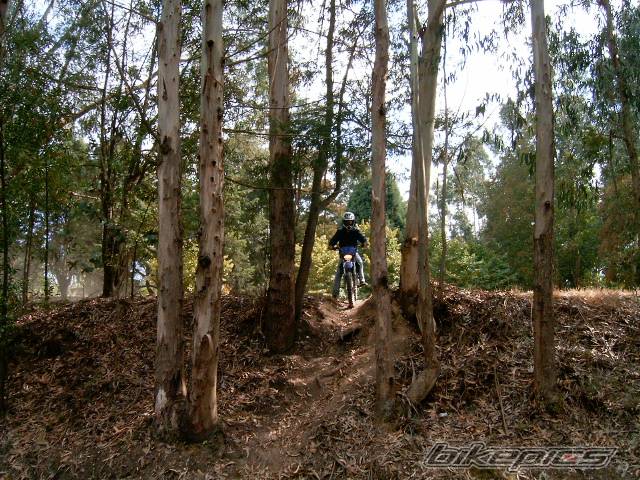 Photo 393623