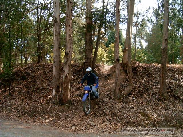 Photo 393624