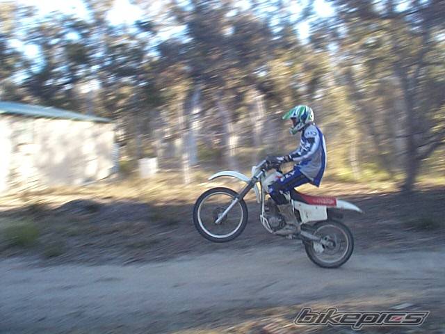 Photo 39391