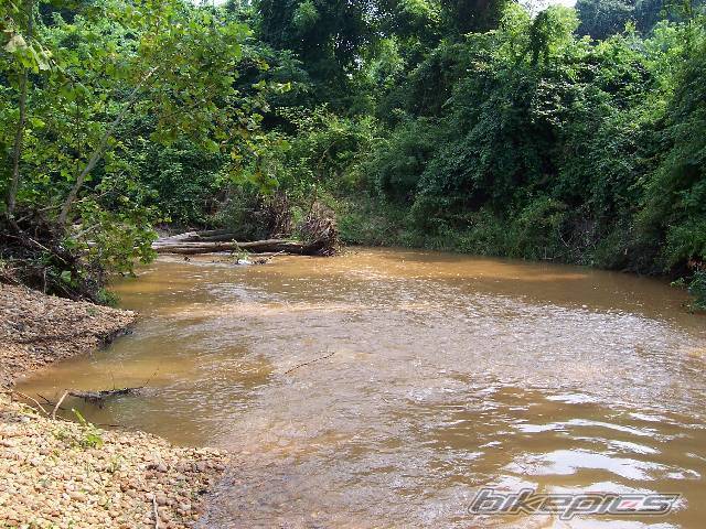 Photo 393959