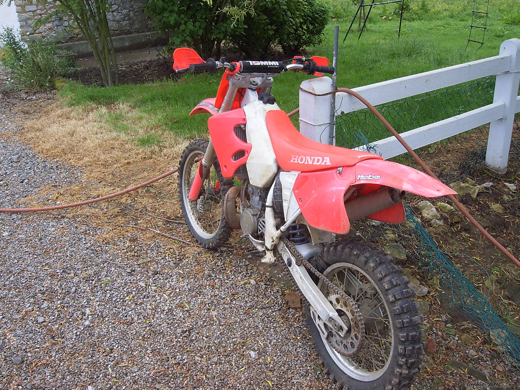 Photo 395192