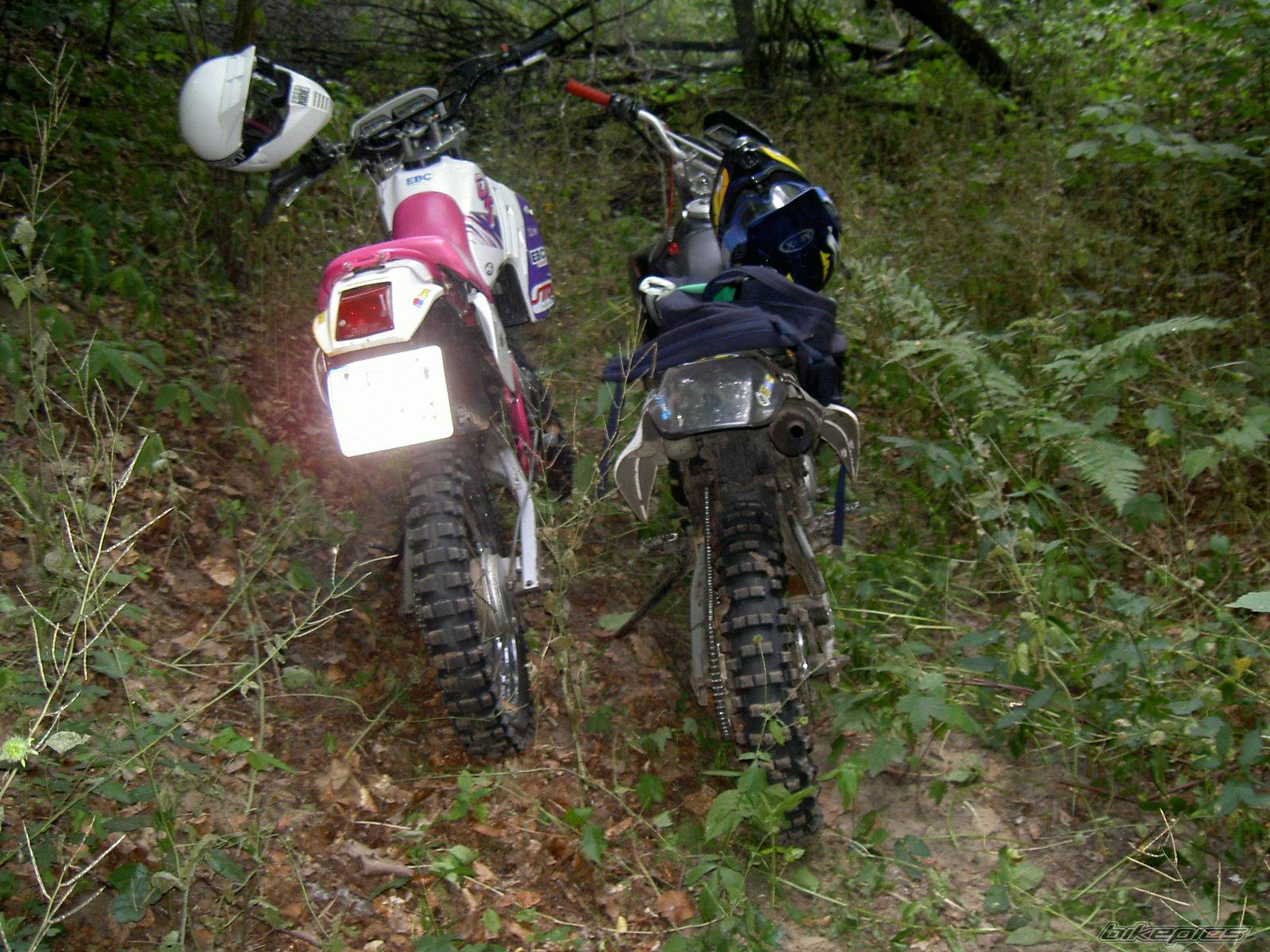 Bike Photo 396814