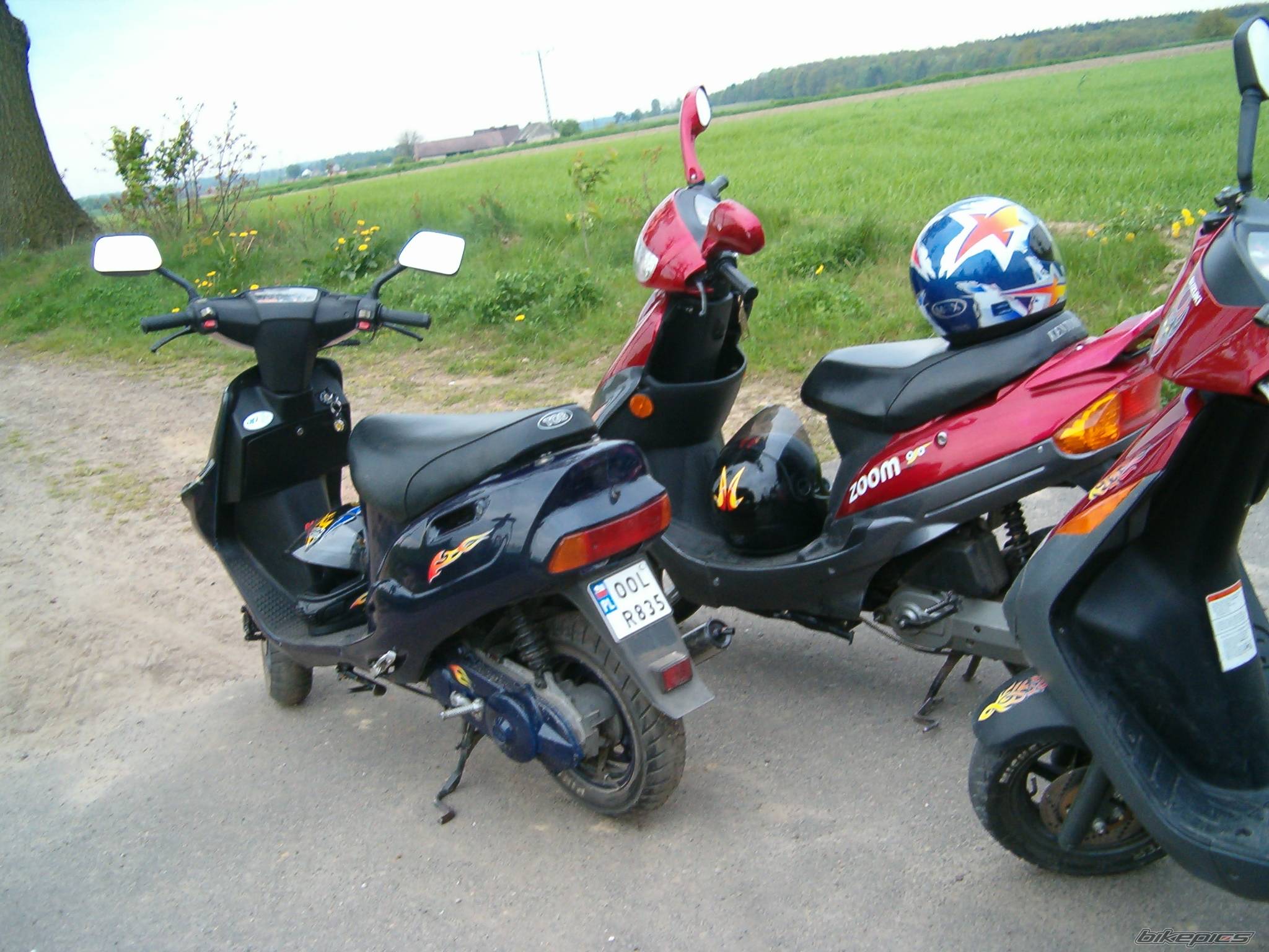 Photo 399777