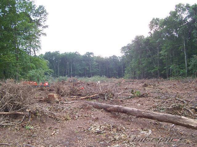 Photo 400865