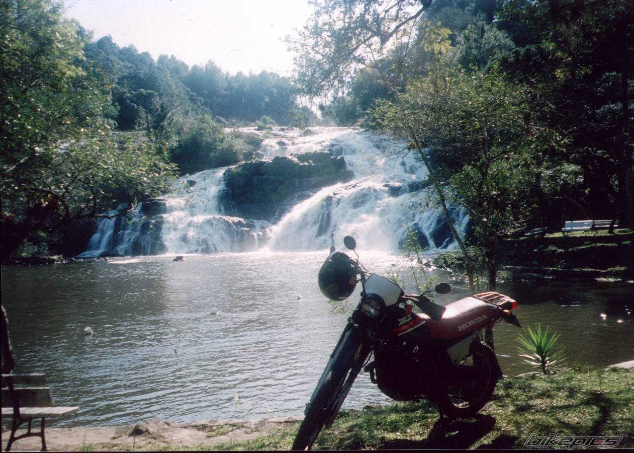 Bike Photo 401398