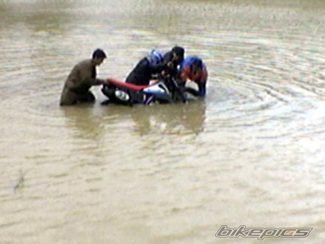 Photo 403757