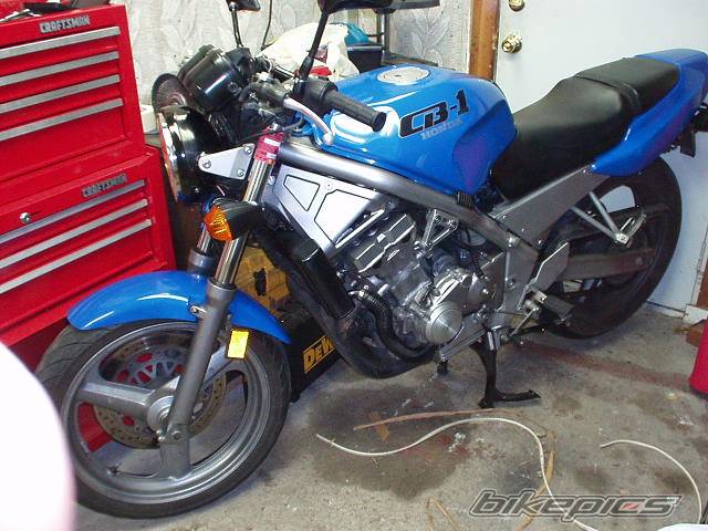 Photo 40441