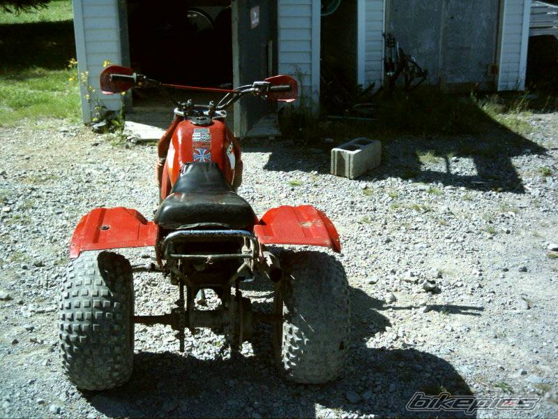 Bike Photo 406290