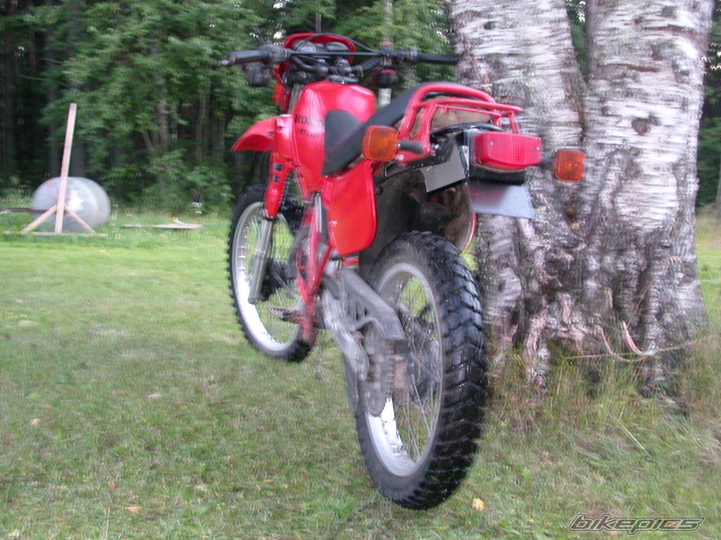 Bike Photo 407278