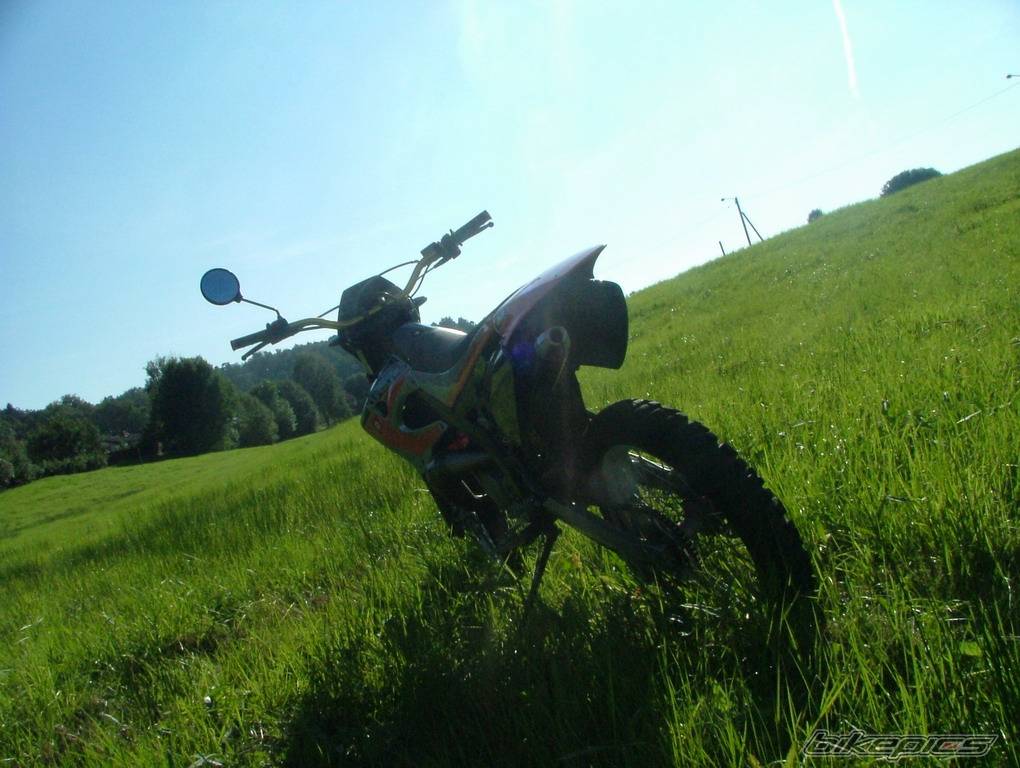 Photo 417447