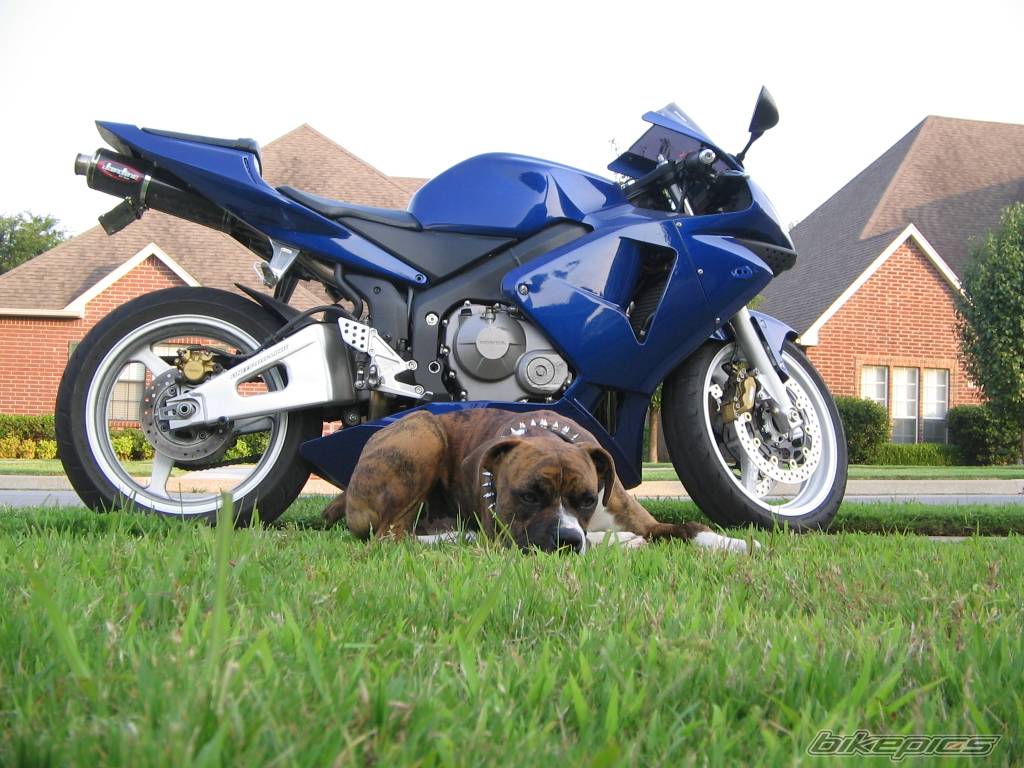 Bike Photo 417981