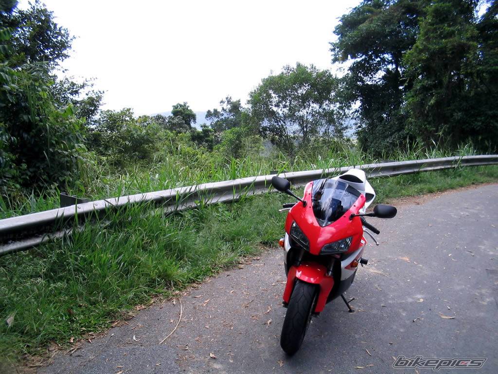 Bike Photo 423767