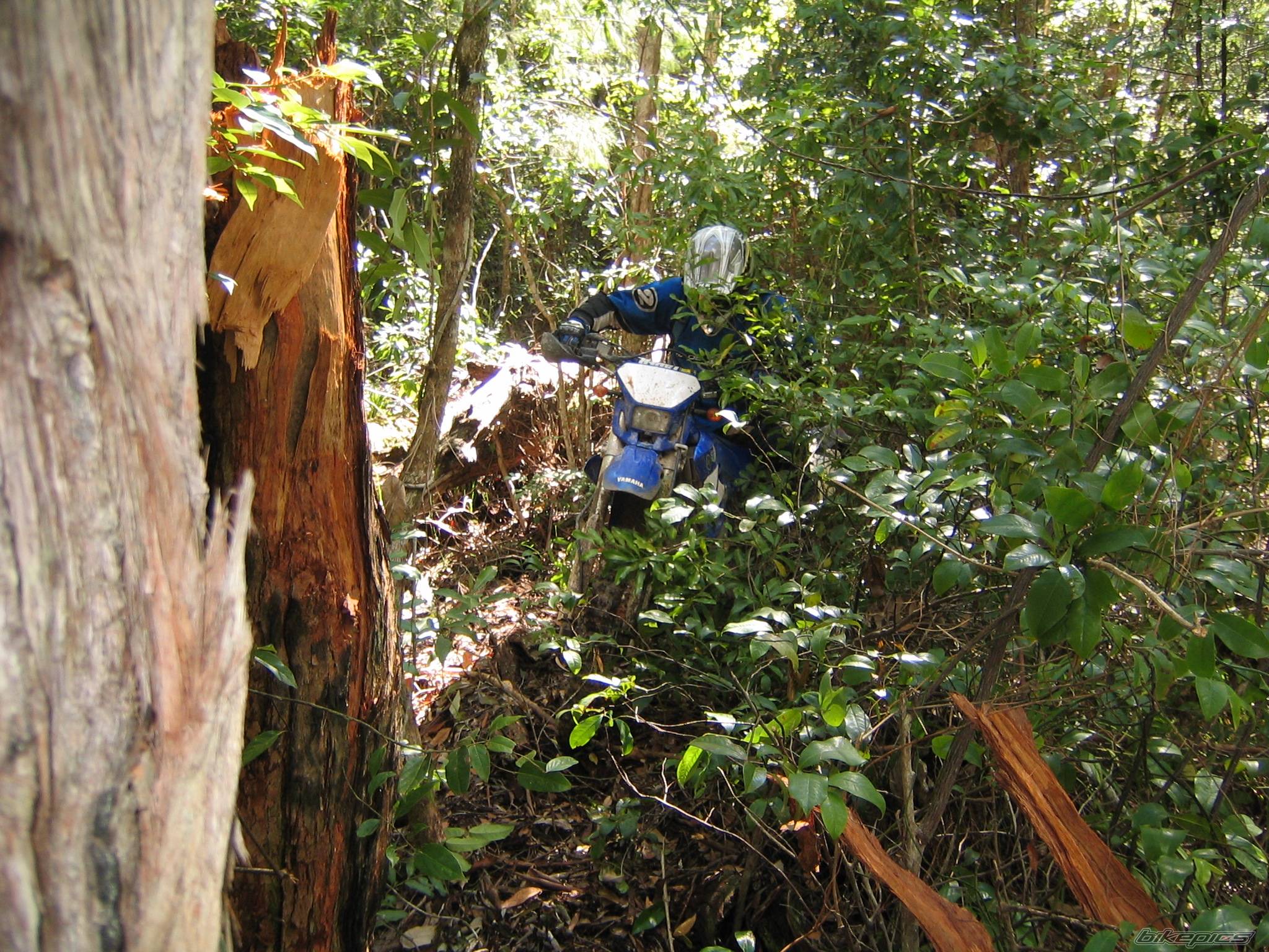 Photo 423864