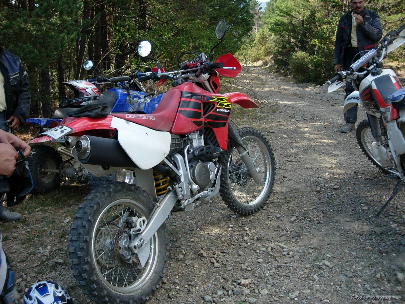 Photo 426020