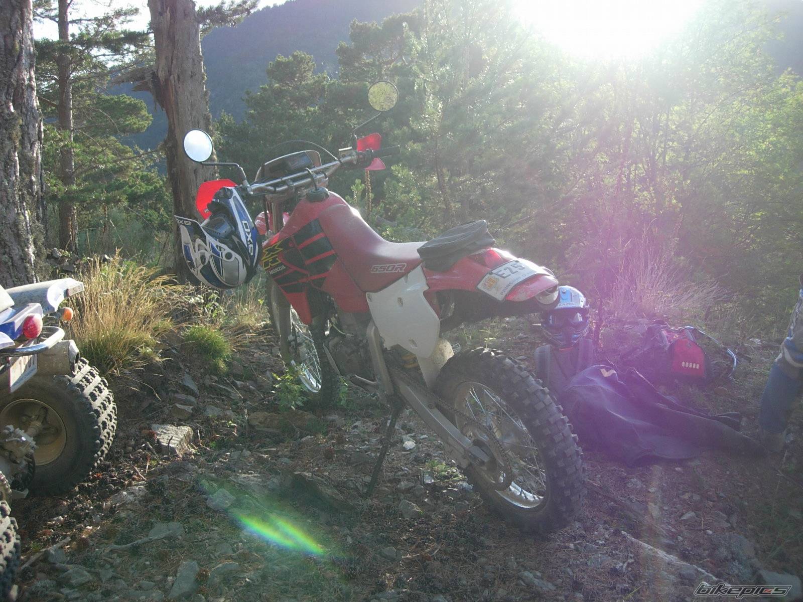 Photo 426021