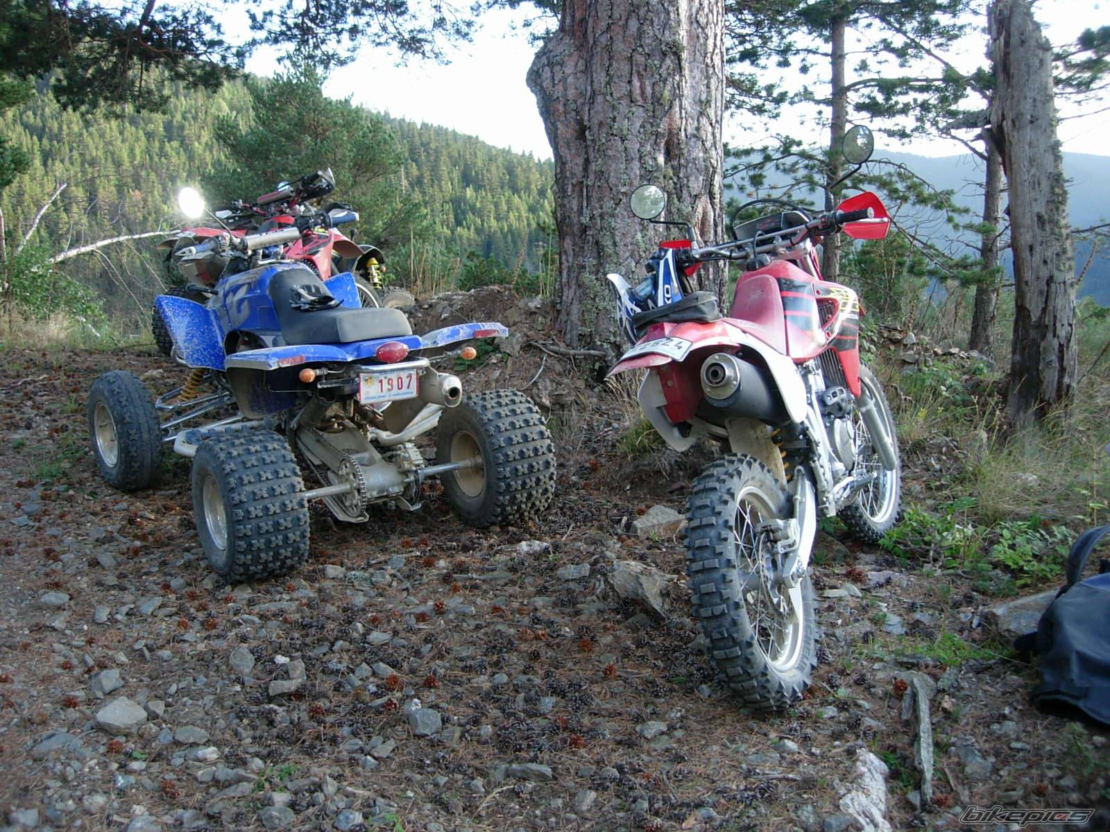 Photo 426022