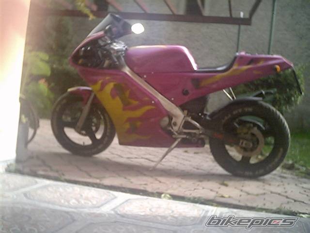 Photo 42807