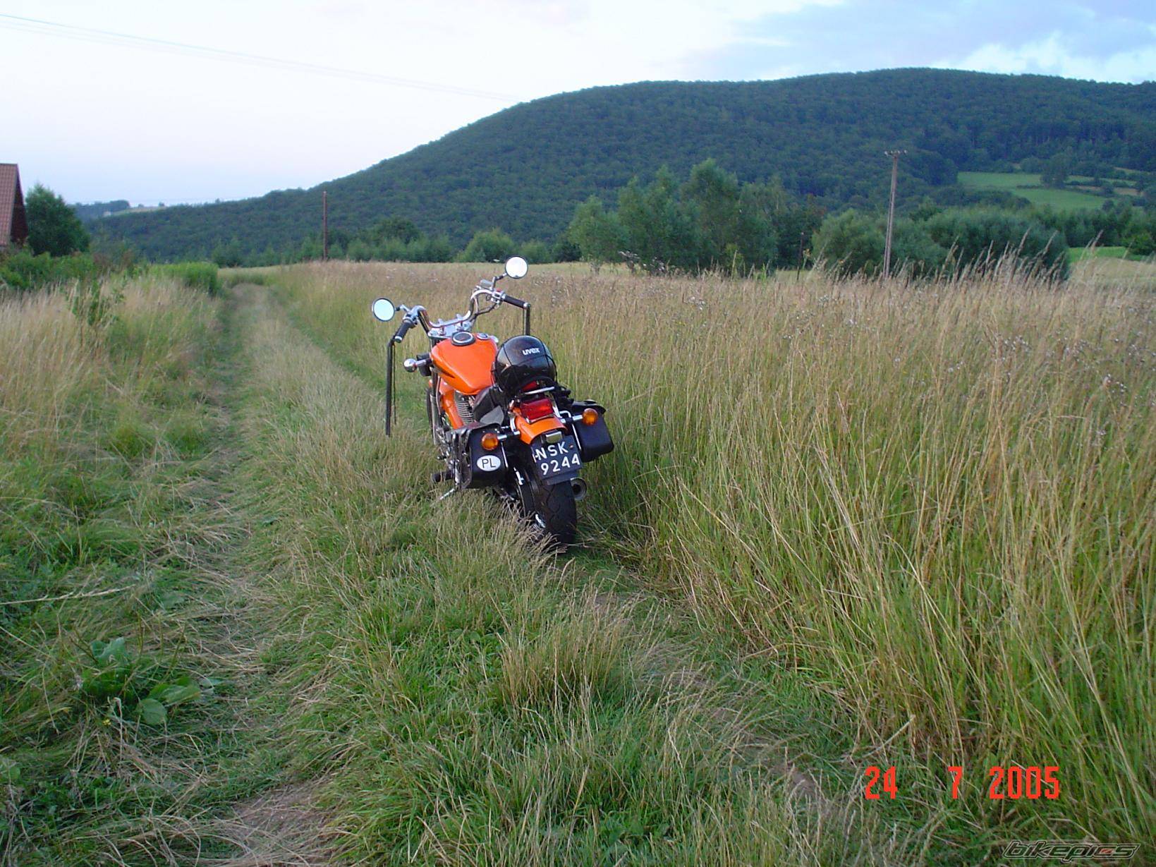 Photo 428745