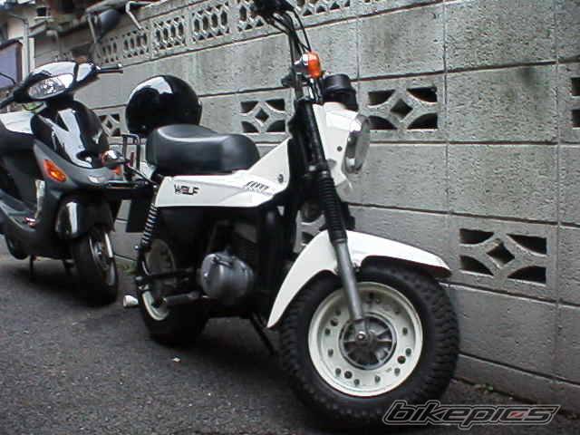 Photo 435664