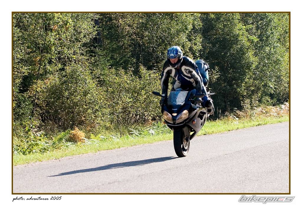 Bike Photo 437579