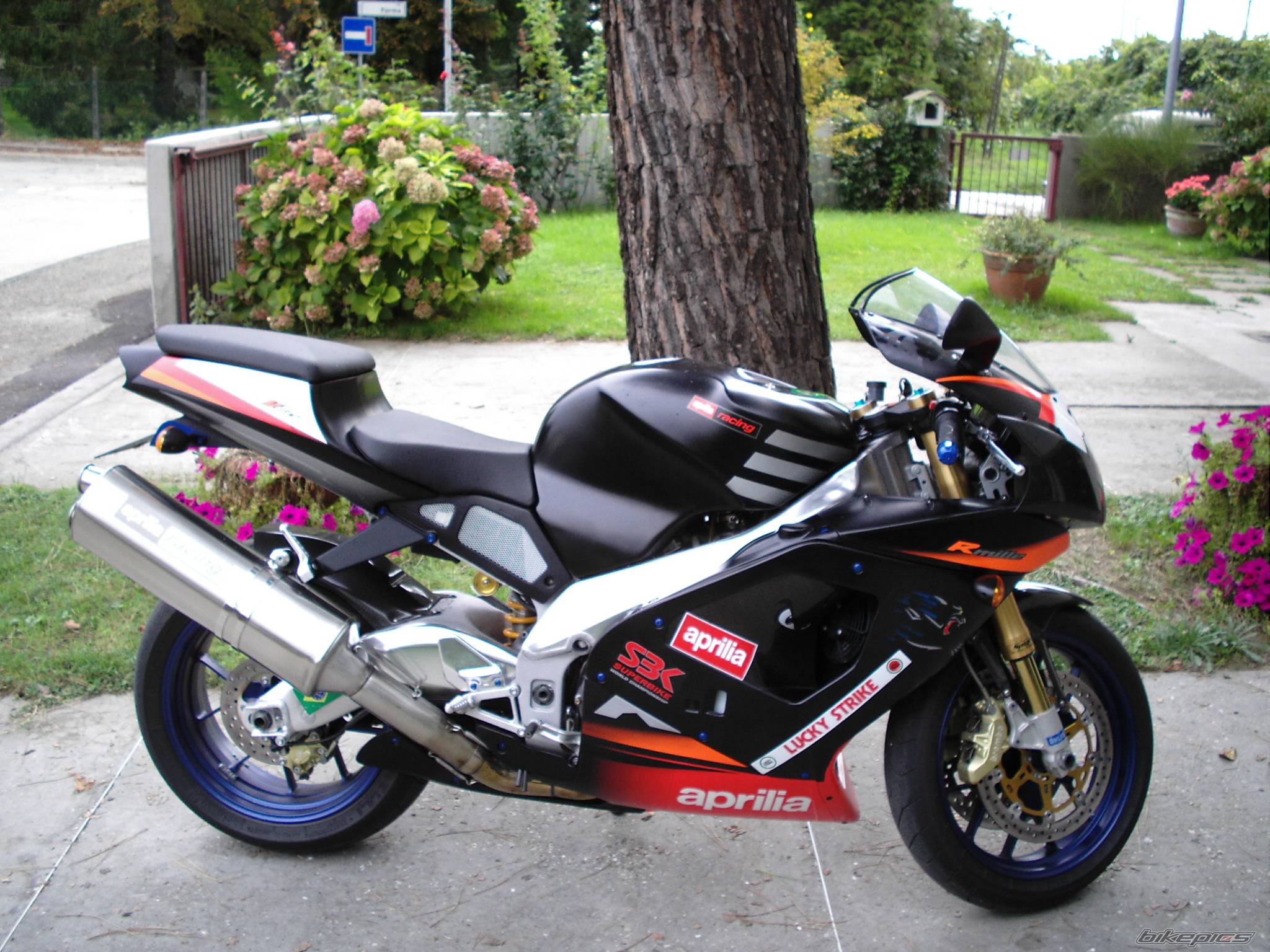Bike Photo 440490