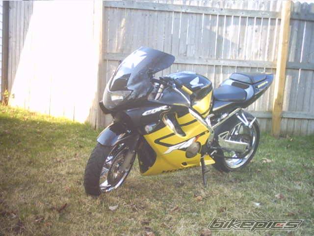 Photo 445239