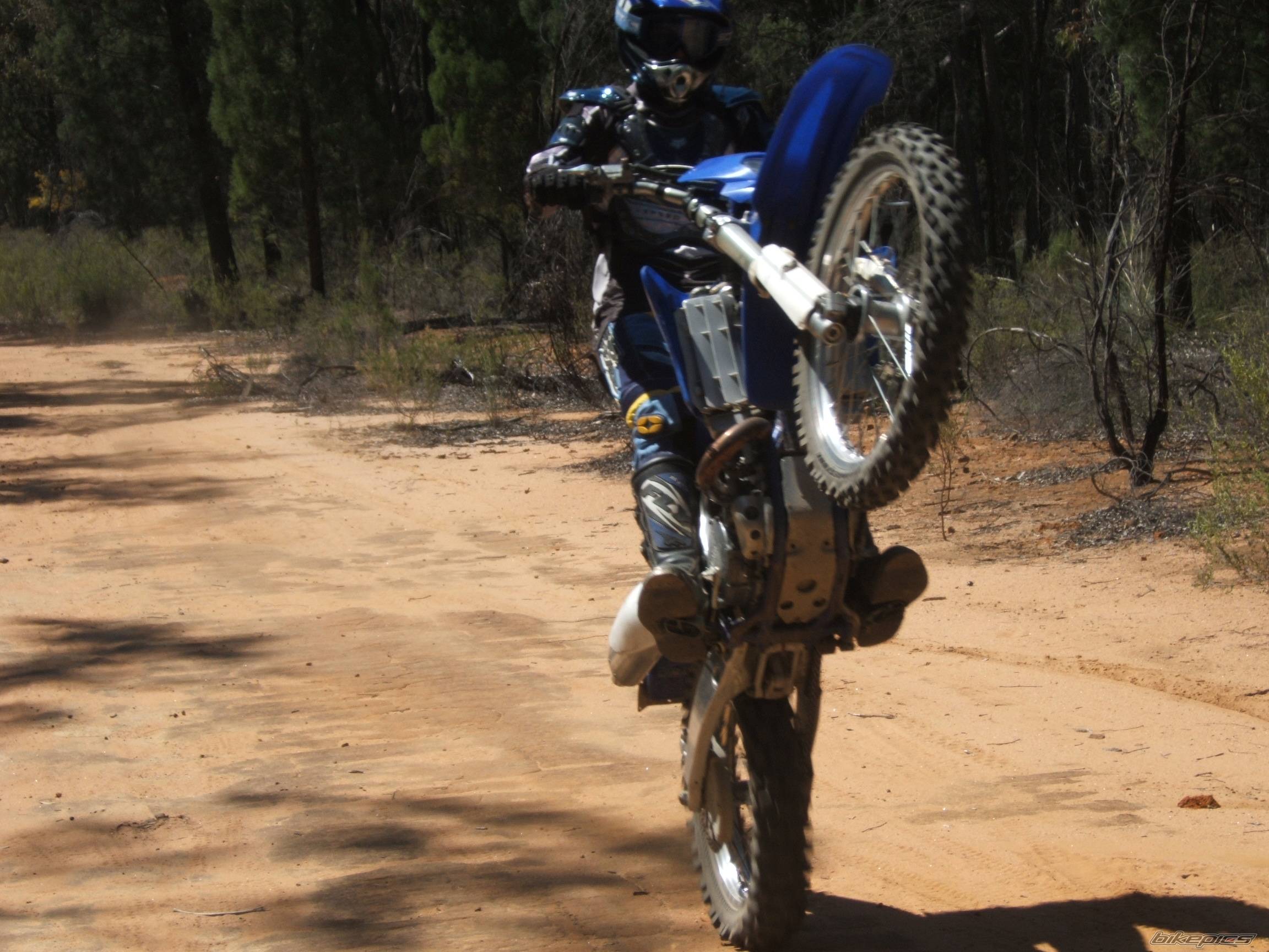 Photo 445341