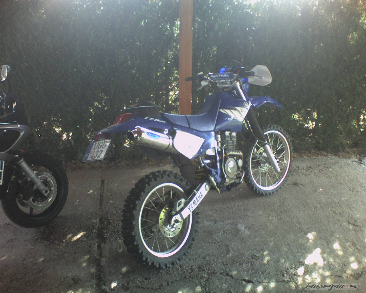 Photo 445394