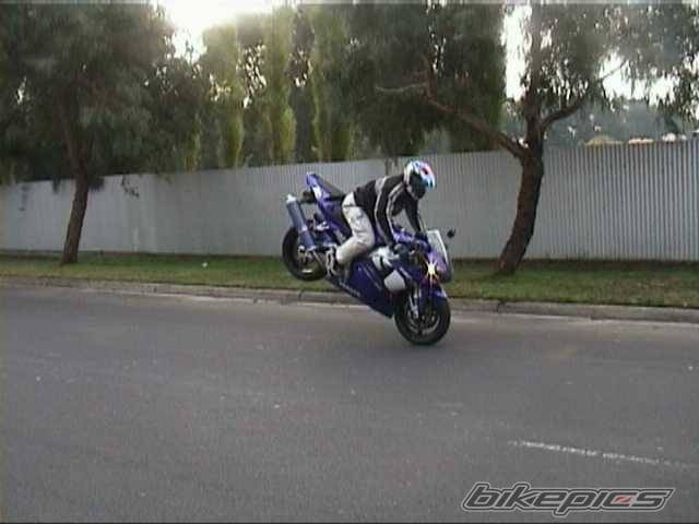 Photo 4466