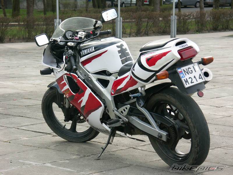 Bike Photo 446706