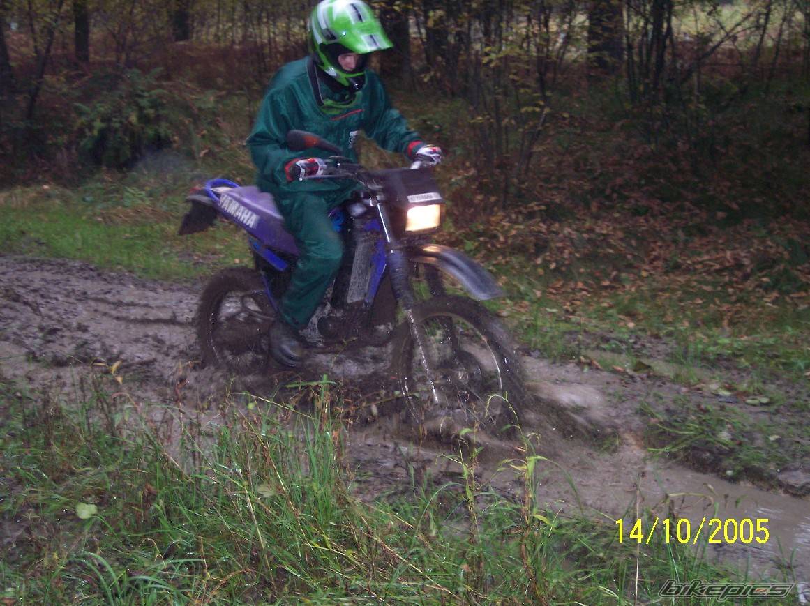 Bike Photo 447781