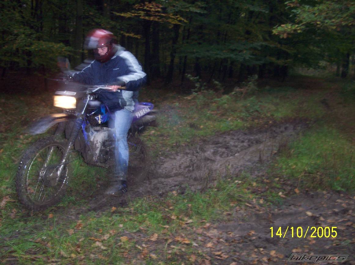 Bike Photo 447786