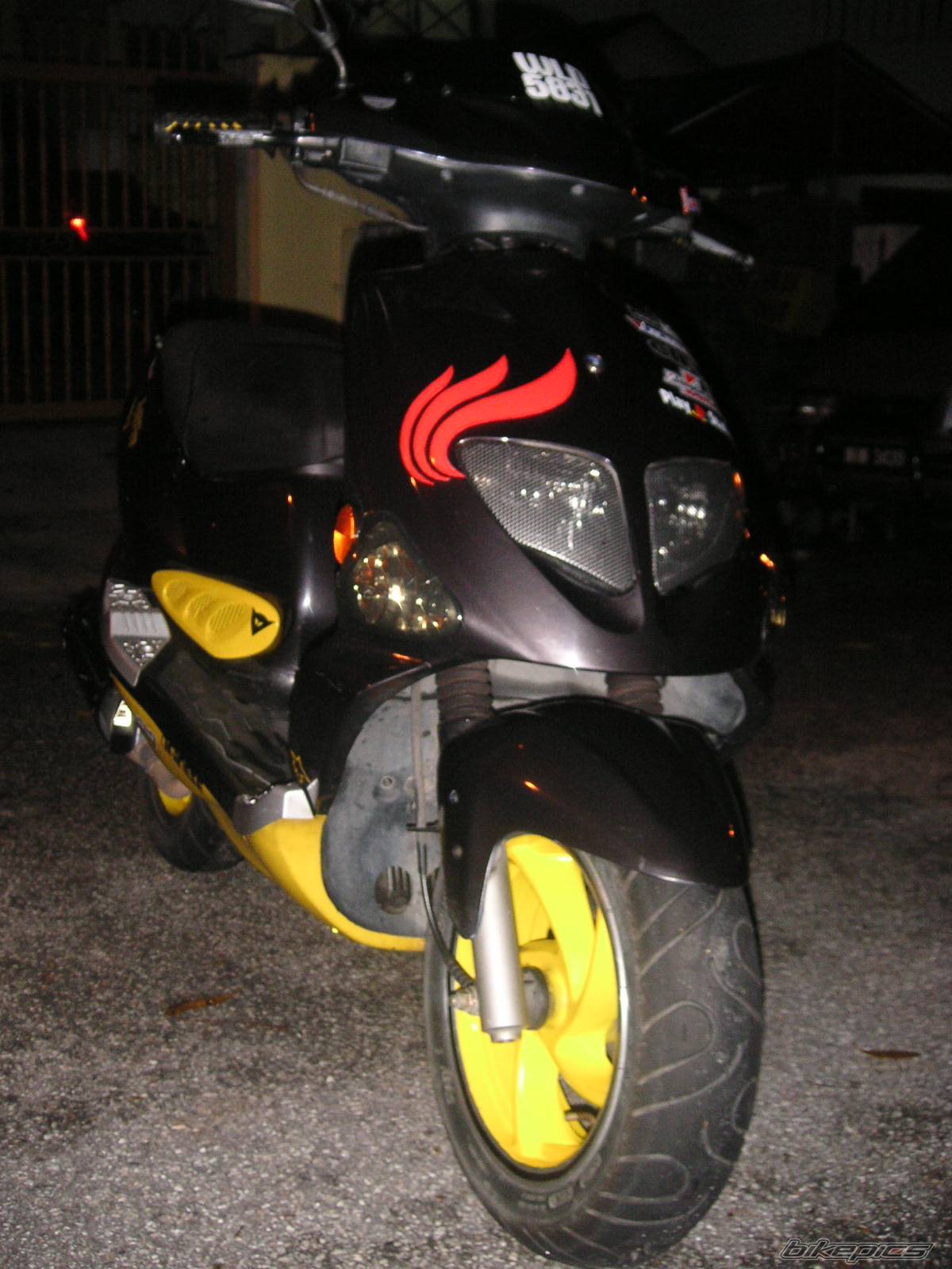 Photo 450783