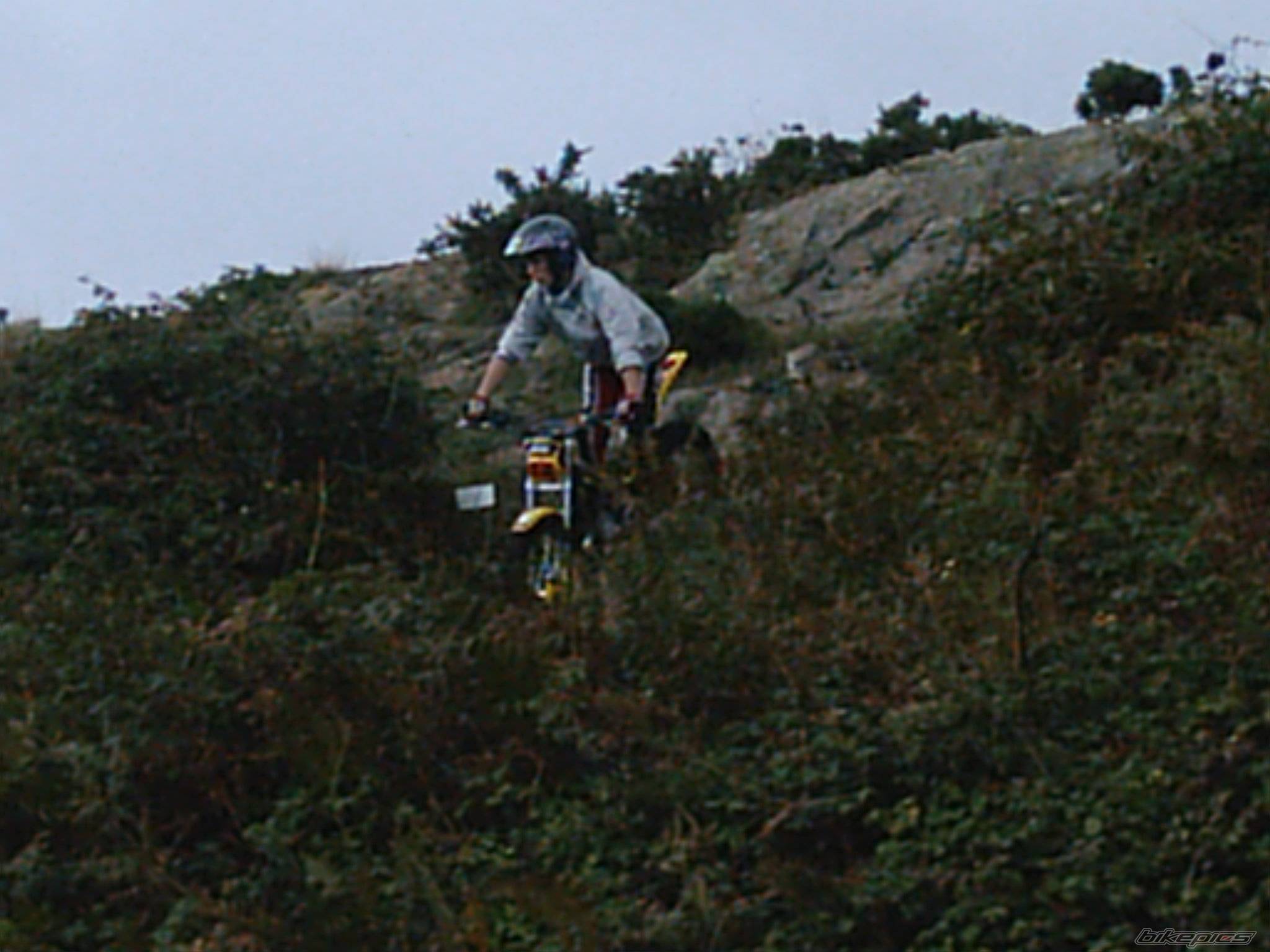 Photo 451726