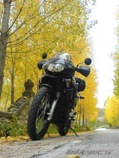 Bike Photo 452468