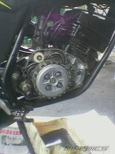 Bike Photo 454022