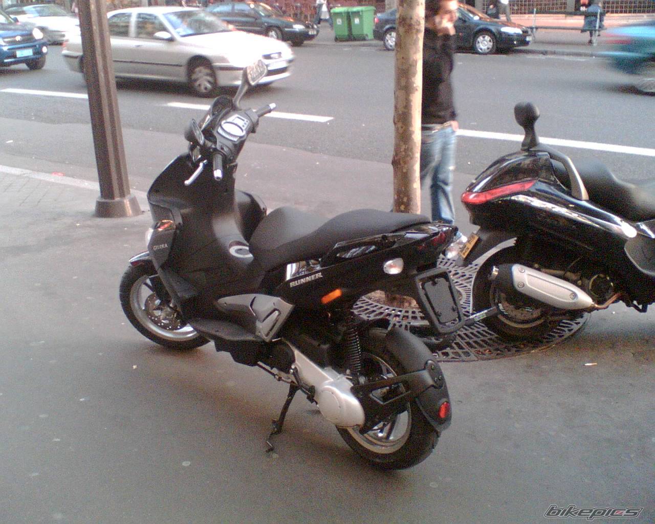 Photo 454699