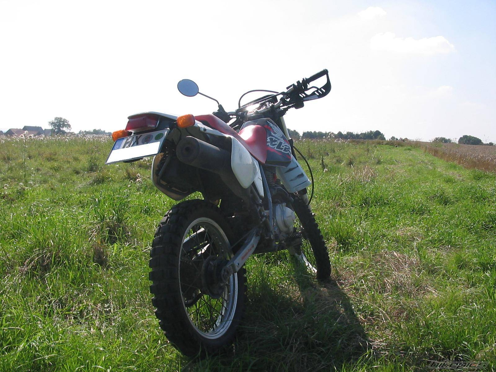 Photo 456244